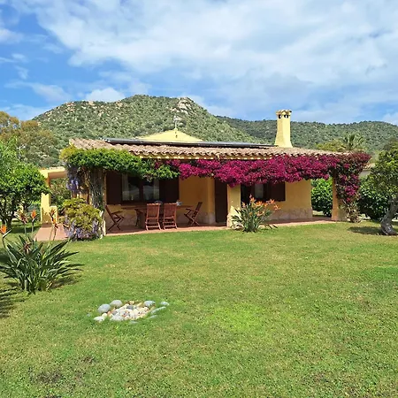 Carlebia Villa
