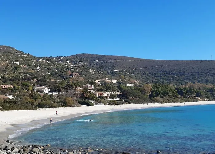 Carlebia - Piscina Privata - Spiagge Raggiungibili A Piedi ヴィラ トッレ・デッレ・ステッレ